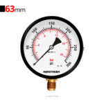 گیج فشار برنجی عمودی 300psi مانوترم